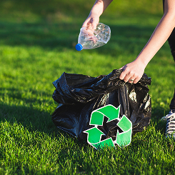 Waste Management